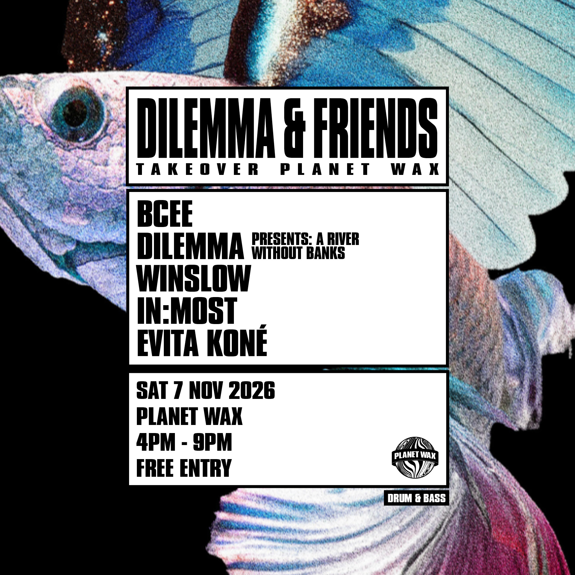 Dilemma & Friends