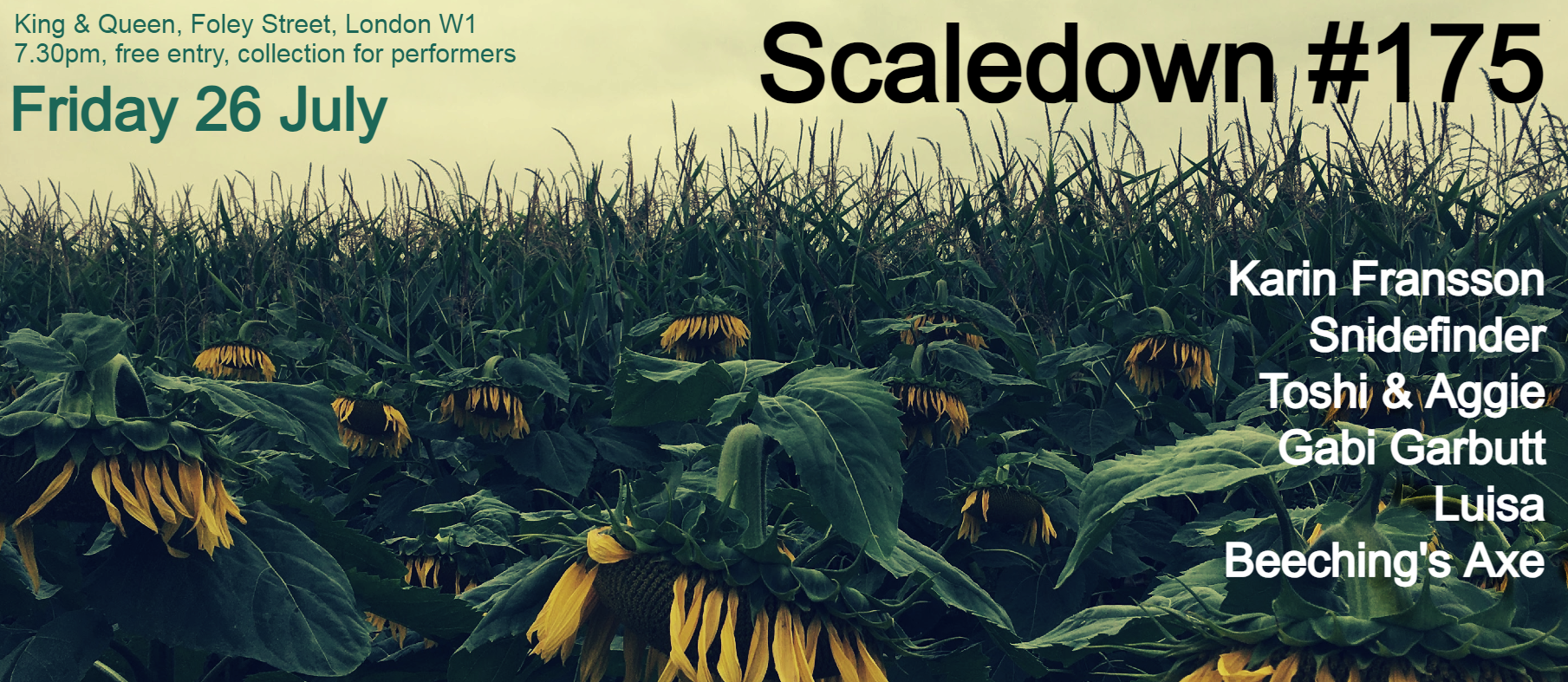 Scaledown #175