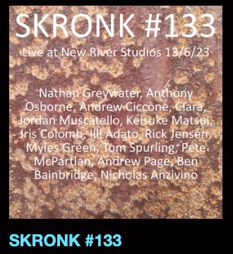 SKRONK #133