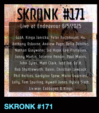 SKRONK #171