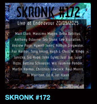 SKRONK #172