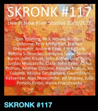 SKRONK #117